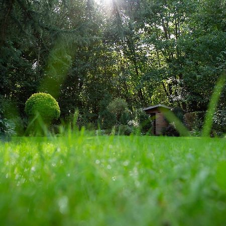 Le Nid Du Massereau Bouguenais Dış mekan fotoğraf